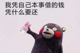 鞍山企业清欠服务